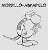 armadillo