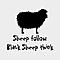 Black Sheep